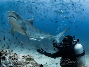 goprome by Marc Van Den Broeck 